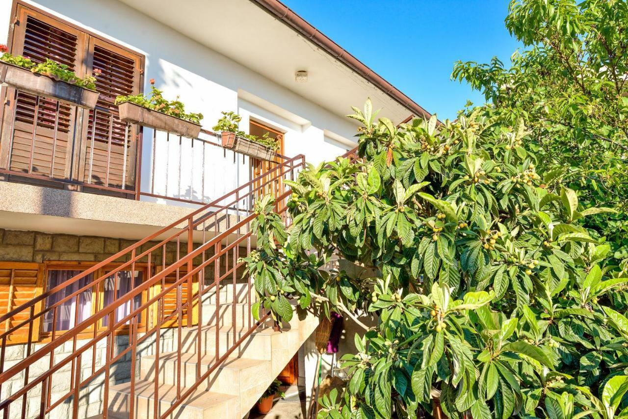 Apartman Jadranka Bibinje Exterior photo